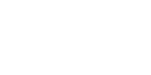 Twin Reality logo in white