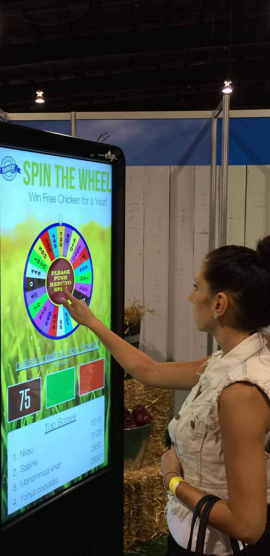 Virtual Prize Wheel Game